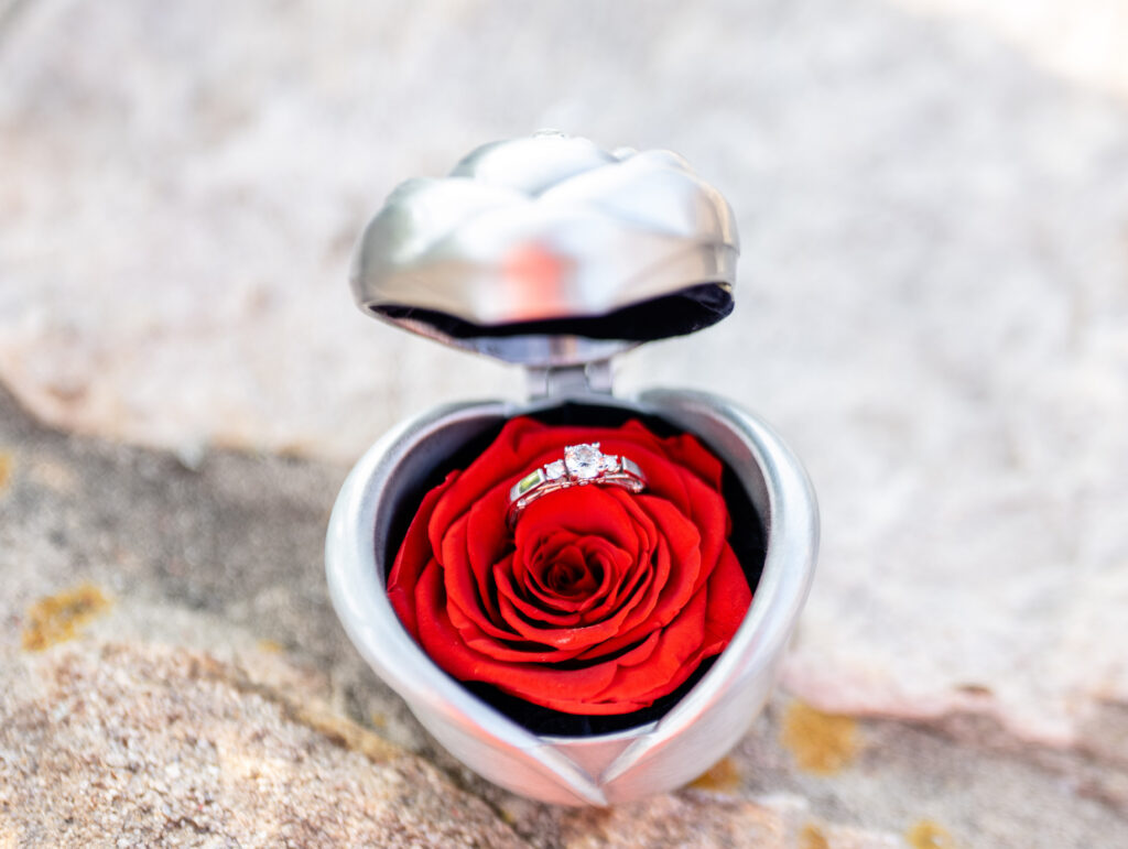 Forever rose with engagement ring
