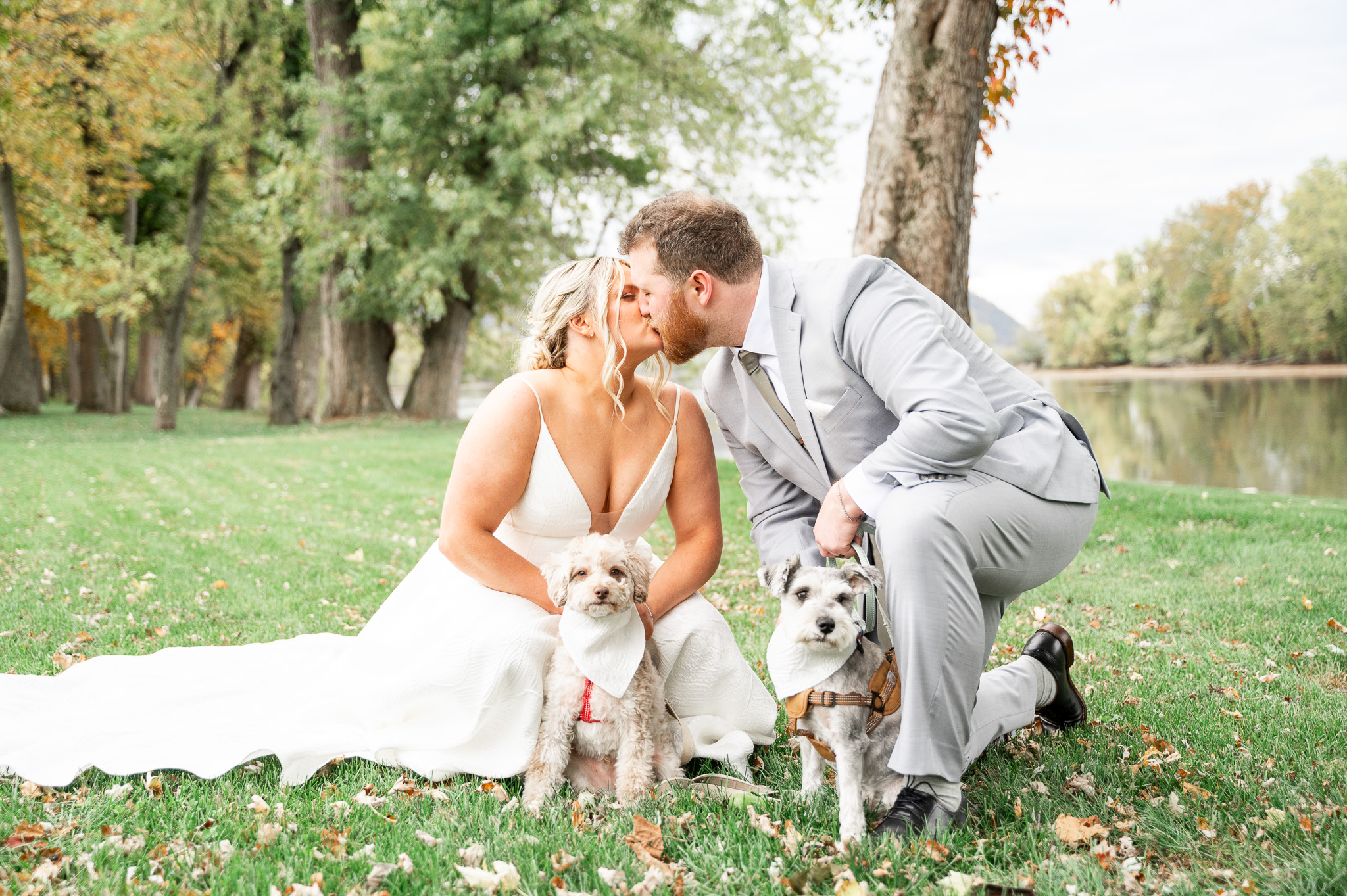 Wedding with dogs in Central PA